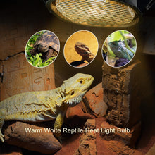 Load image into Gallery viewer, REPTI ZOO G9 Reptile Light Fixture with  Heat Lamp Bulb 50W Warm White