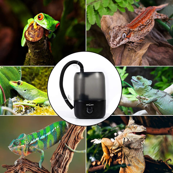Reptile fogger humidifier surrounded by various lizards, geckos, chameleon, and frog