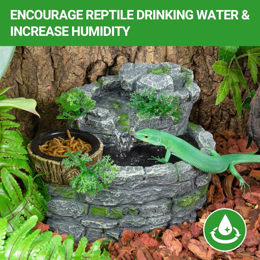 Lizard drinking from decorative stone reptile water fountain with feeder dish in terrarium.