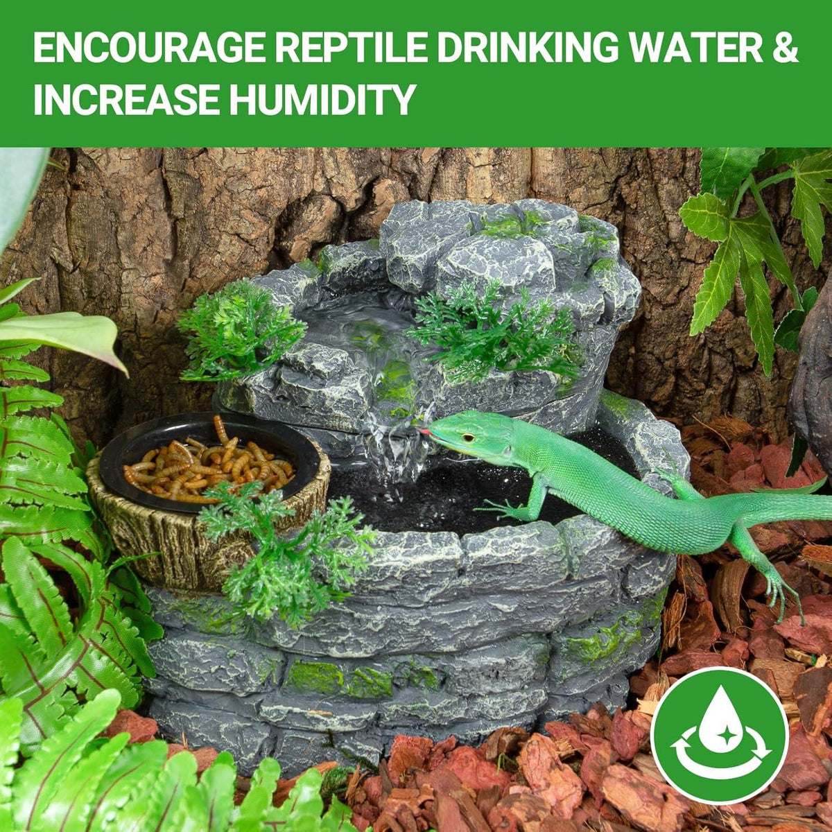 Lizard drinking from decorative stone reptile water fountain with feeder dish in terrarium.
