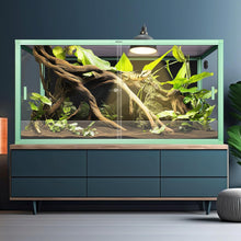 Load image into Gallery viewer, https://m.media-amazon.com/images/I/81om9NihXBL._AC_SL1500_.jpg