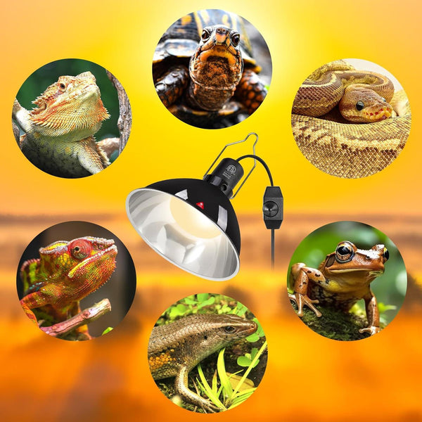 Reptile heat lamp with bearded dragon, turtle, snake, chameleon, lizard, and frog