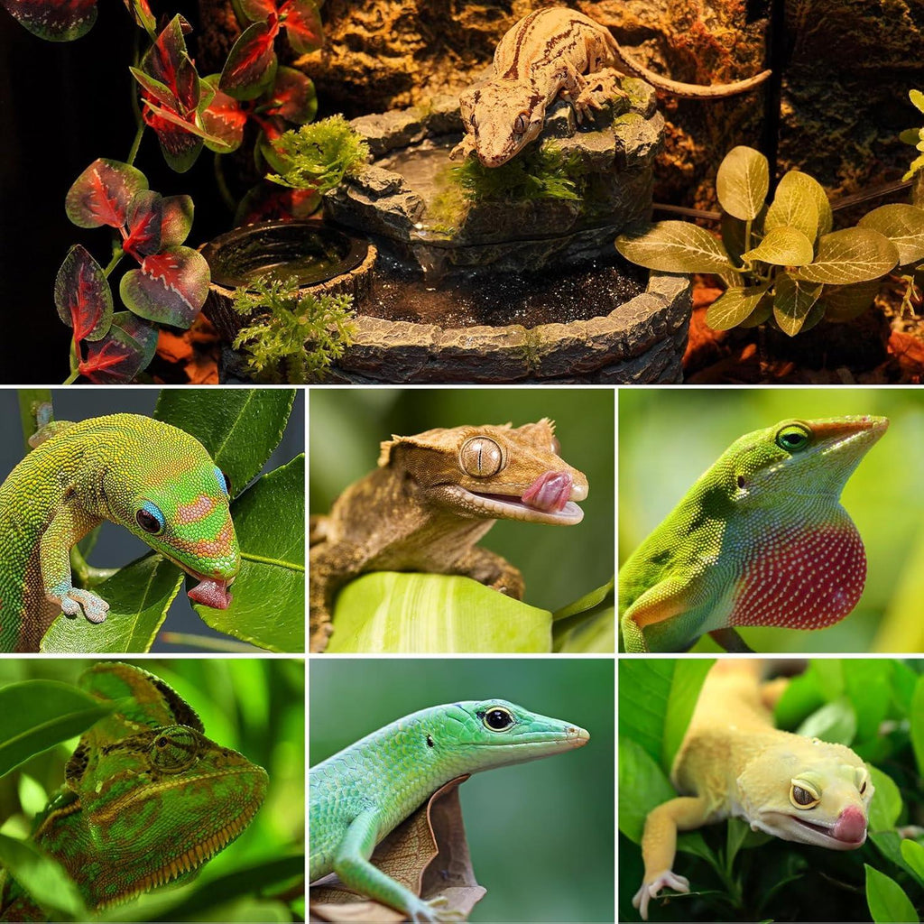 Collage of various colorful reptiles in a lush terrarium setting with plants and rocks