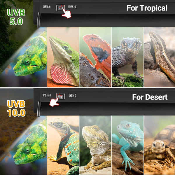 UVB 5.0 and UVB 10.0 reptile lighting with switch for tropical and desert terrarium pets