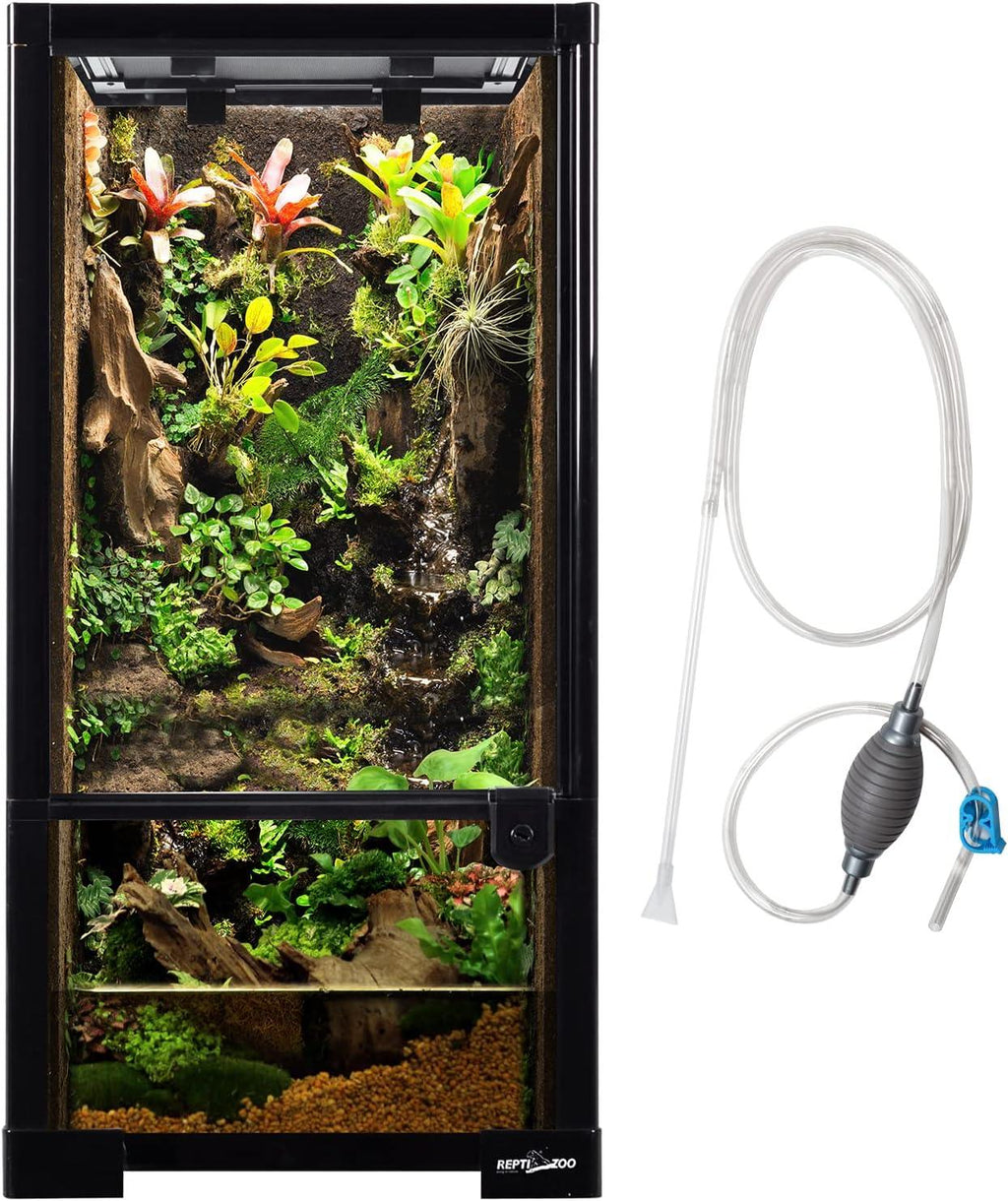 Glass reptile terrarium with lush plants and cleaning siphon tube, vertical vivarium setup