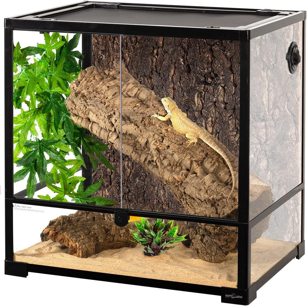 Glass reptile terrarium with a bearded dragon, branch, sand, and artificial plants.
