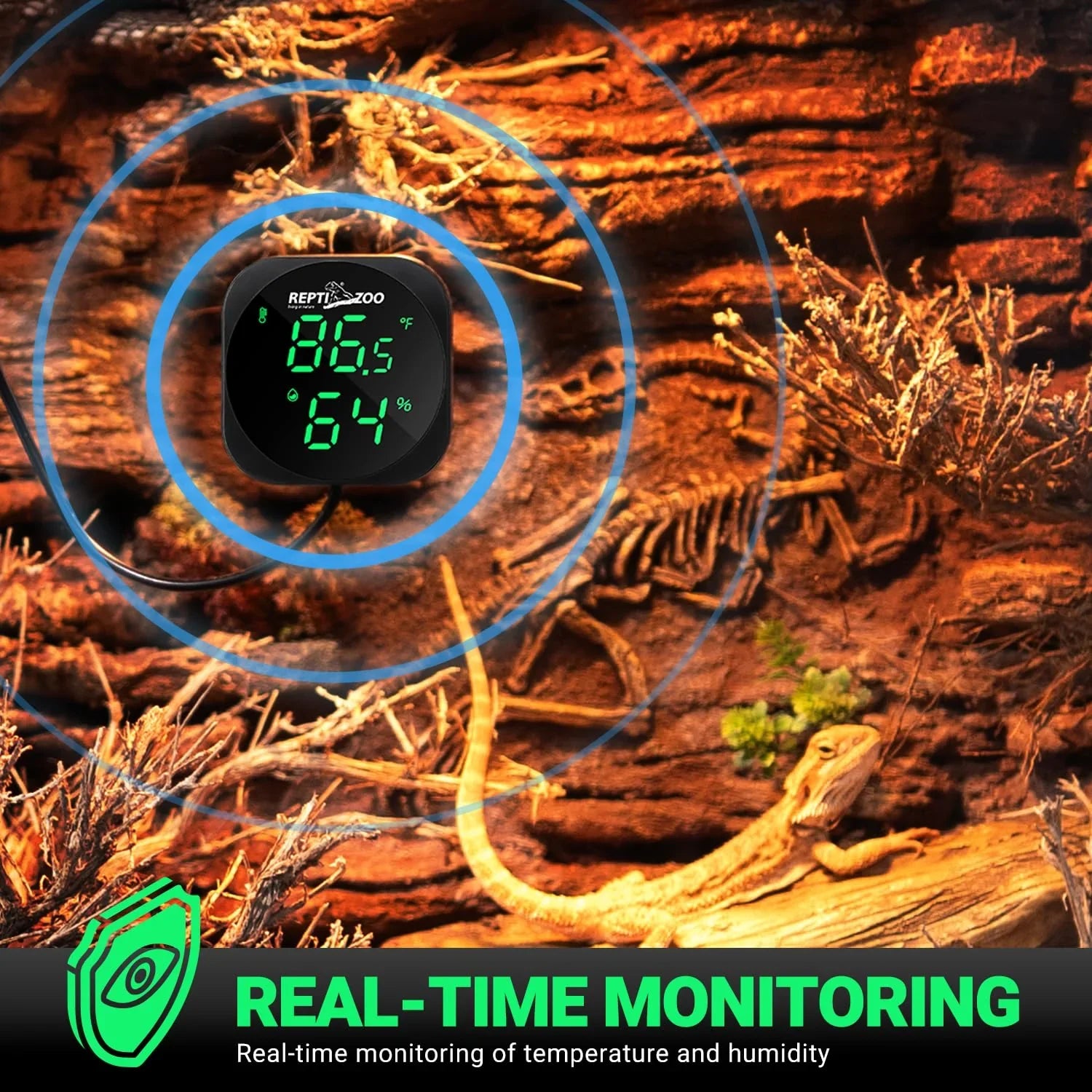 Digital reptile terrarium thermometer hygrometer displaying temperature and humidity in a desert enclosure.