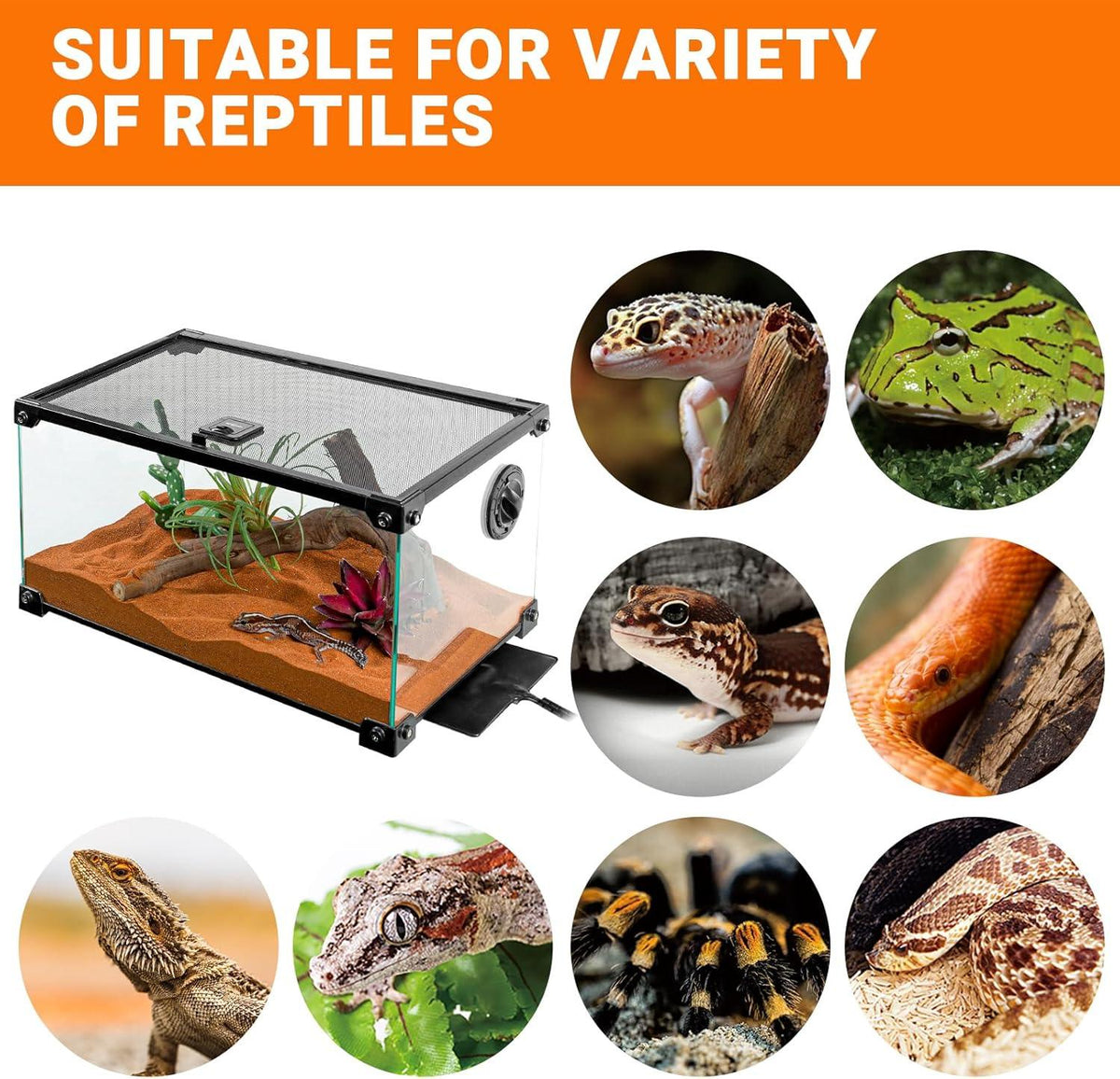 Glass reptile terrarium with mesh lid, suitable for geckos, snakes, frogs, and tarantulas.