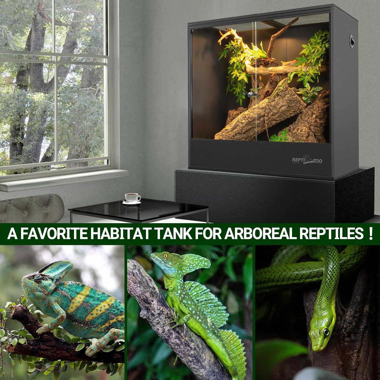 Glass reptile terrarium for arboreal reptiles with natural decor and example lizards and snake.