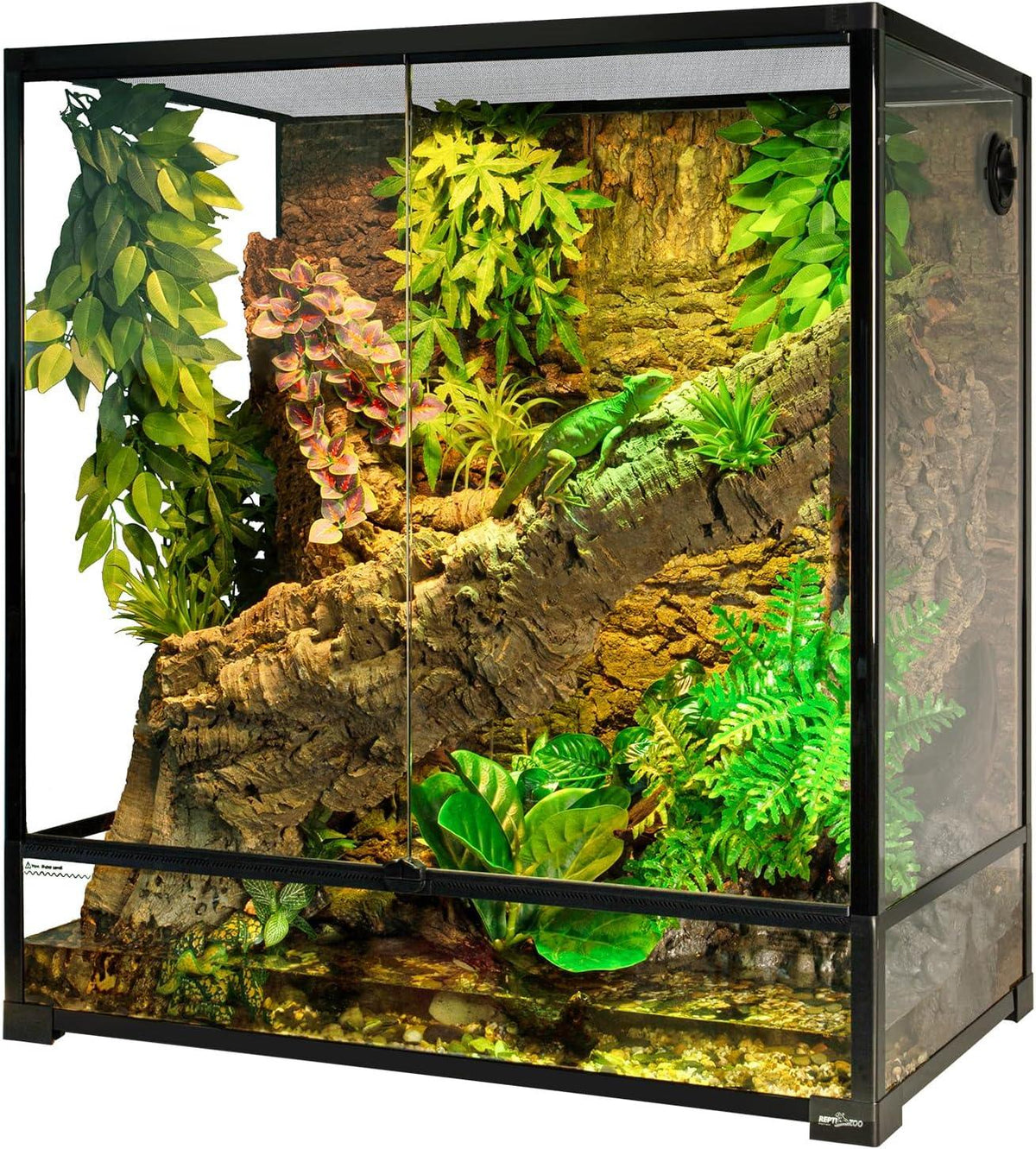 Glass reptile terrarium with naturalistic plants, cork bark, and a green lizard inside. Main image