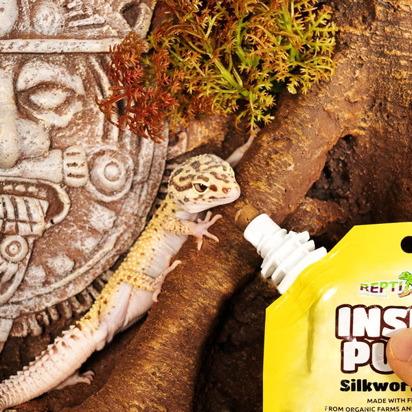 Premium Insect Puree Gecko Food, Silkworm Paste for Healthy Lizards & Reptiles
