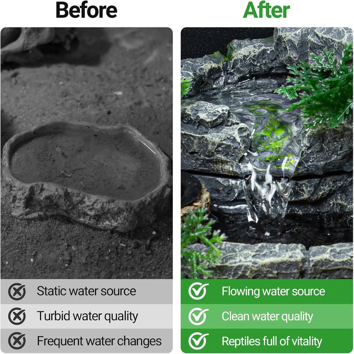 Comparison of a stagnant reptile water dish and a flowing waterfall feature for terrariums