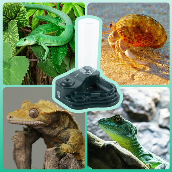 REPTI ZOO RV09 2-in-1 Reptile Water Feeder and Fogger 500ml Black