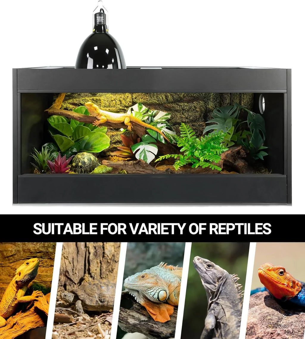 Reptile terrarium with UVB heat lamp, plants, and images of various reptiles below