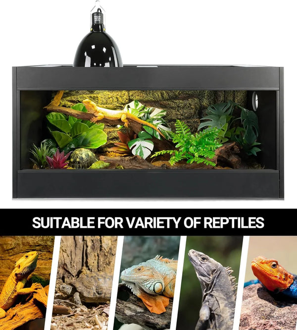 Reptile terrarium with UVB heat lamp, plants, and images of various reptiles below