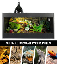 Load image into Gallery viewer, REPTI ZOO 8.5 Inch Lighting Combo Kit with 160W Reptile Heat Lamp UVA UVB Bulbs for Reptiles with Timer