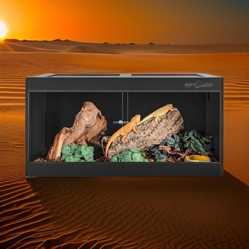 Glass reptile terrarium with desert background, natural wood and plants, bearded dragon inside