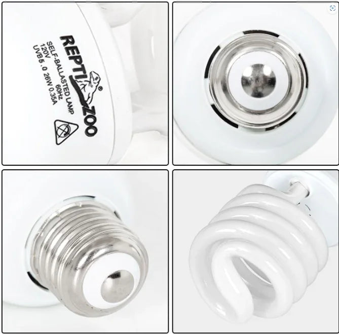 Close-up of spiral UVB reptile light bulb with E26 base, self-ballasted for terrariums
