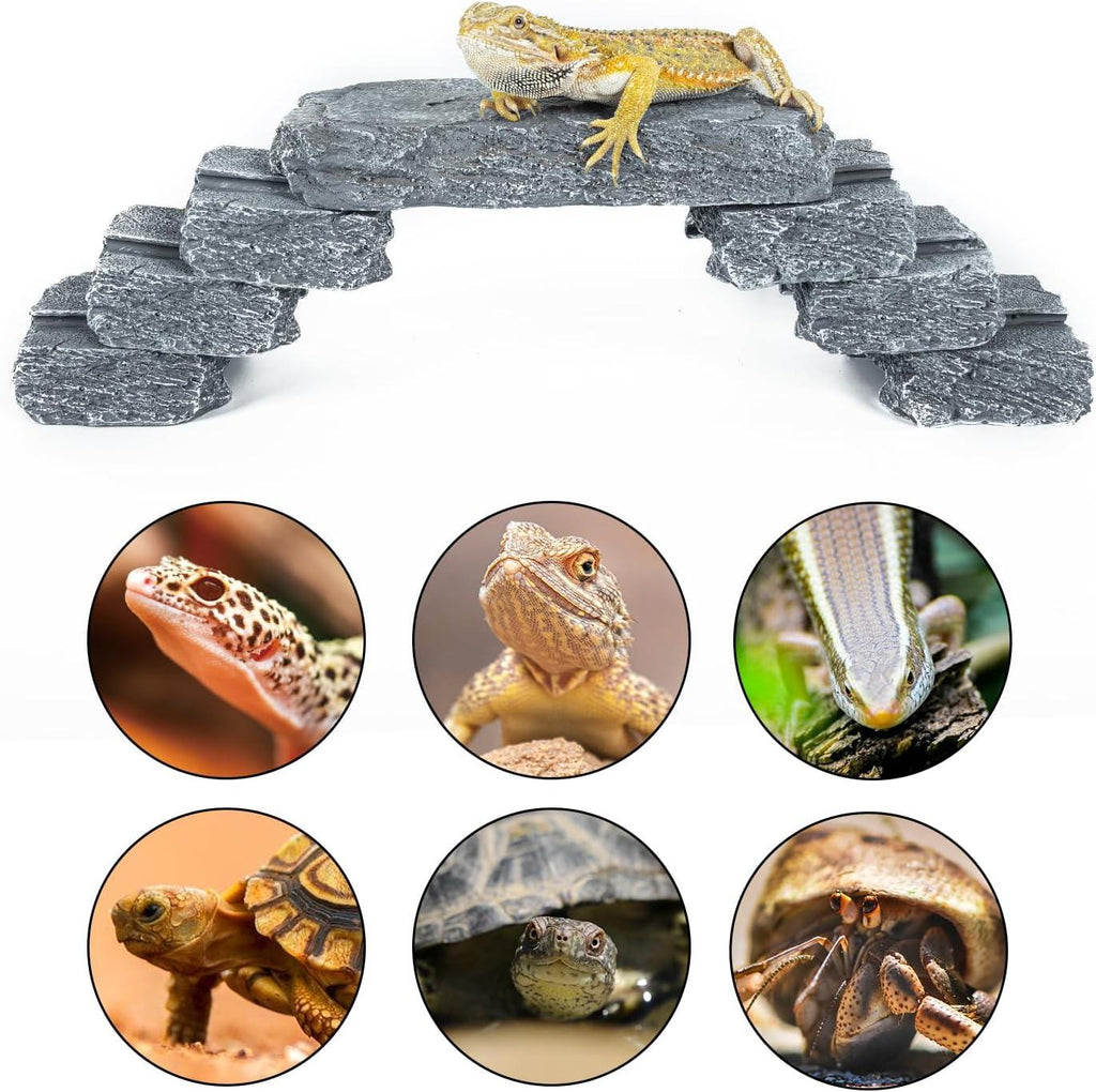 Reptile basking platform bridge with bearded dragon, suitable for lizards, turtles, geckos, and hermit crabs.