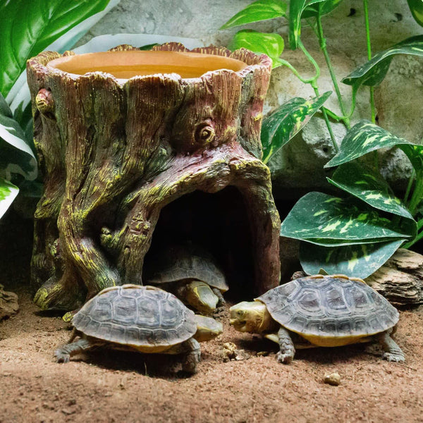Tortoises in a reptile terrarium with a tree stump hide and lush green plants