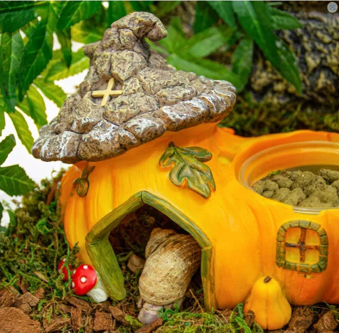 Pumpkin-shaped reptile hideout with food bowl in a terrarium, suitable for hermit crabs.