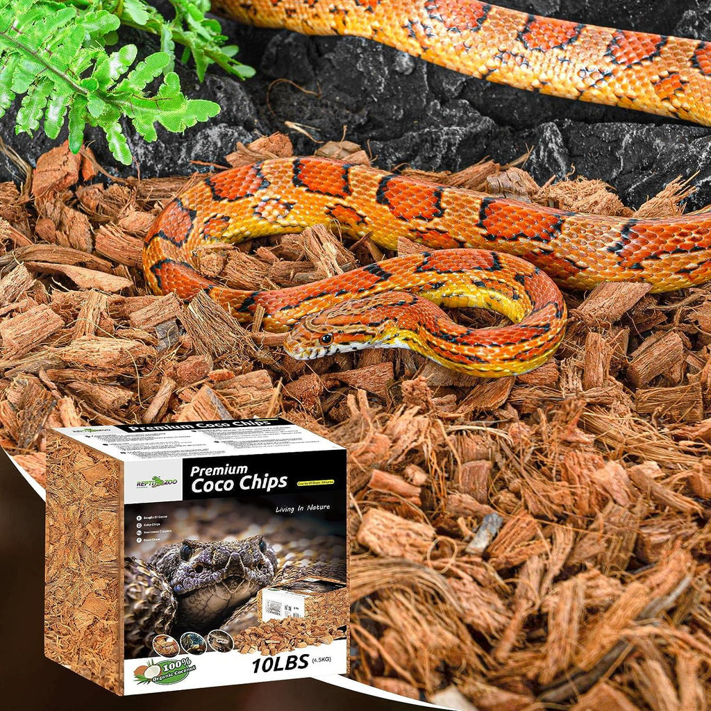 Corn snake on coco chips reptile bedding with fern and Premium Coco Chips box
