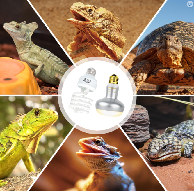 Uvb light top and heat lamp