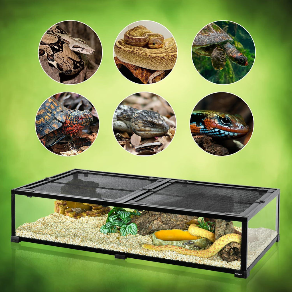 Reptile terrarium with snakes, turtles, and lizards shown in circular insets on green background.