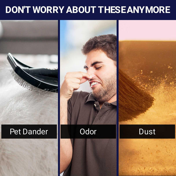 Pet dander, odor, and dust problems illustrated with grooming brush, man holding nose, and broom.
