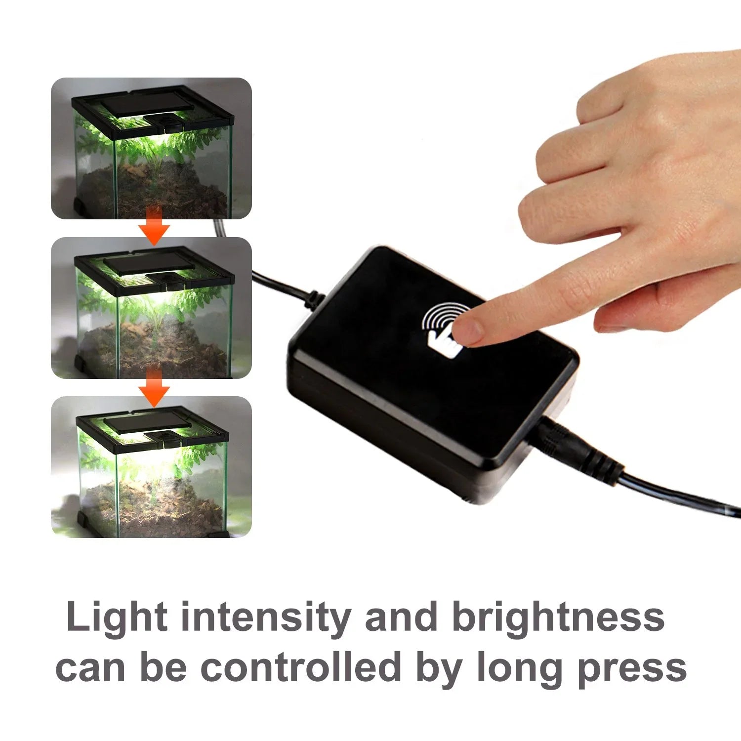 Touch control dimmer for reptile terrarium light with adjustable brightness feature