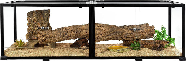 Glass reptile terrarium with cork log hide, plants, and sand substrate for reptiles