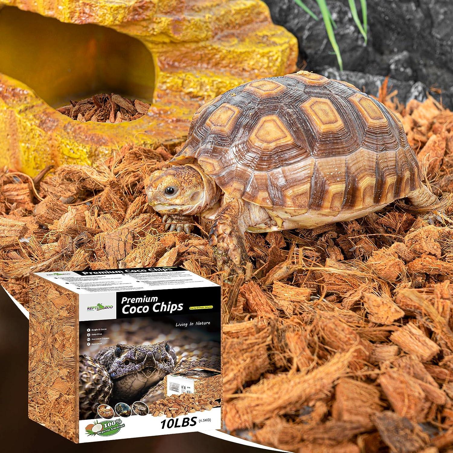 Tortoise on coconut husk substrate with box of premium coco chips for reptile terrariums