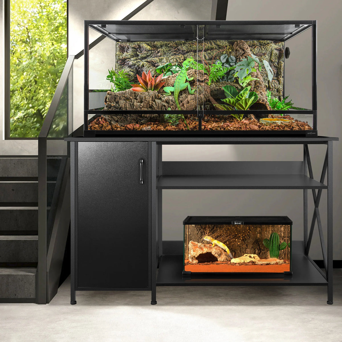 Dual reptile terrarium setup with lush plants and reptiles on a black metal stand in modern room.