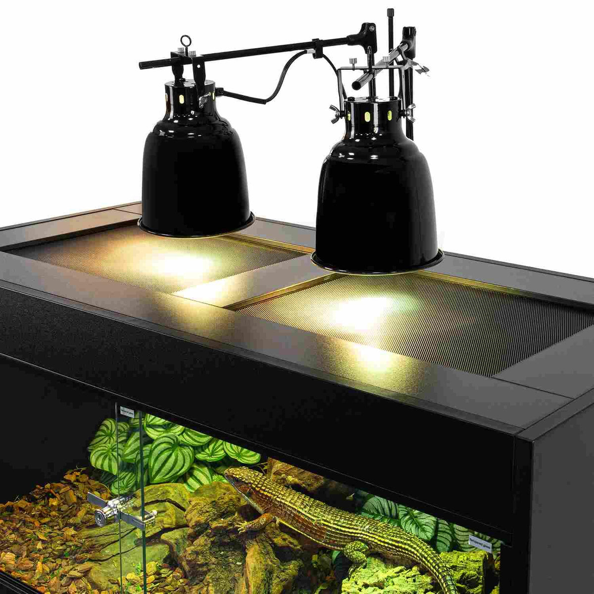 Reptile terrarium with UVB heat lamps and a lizard on natural substrate
