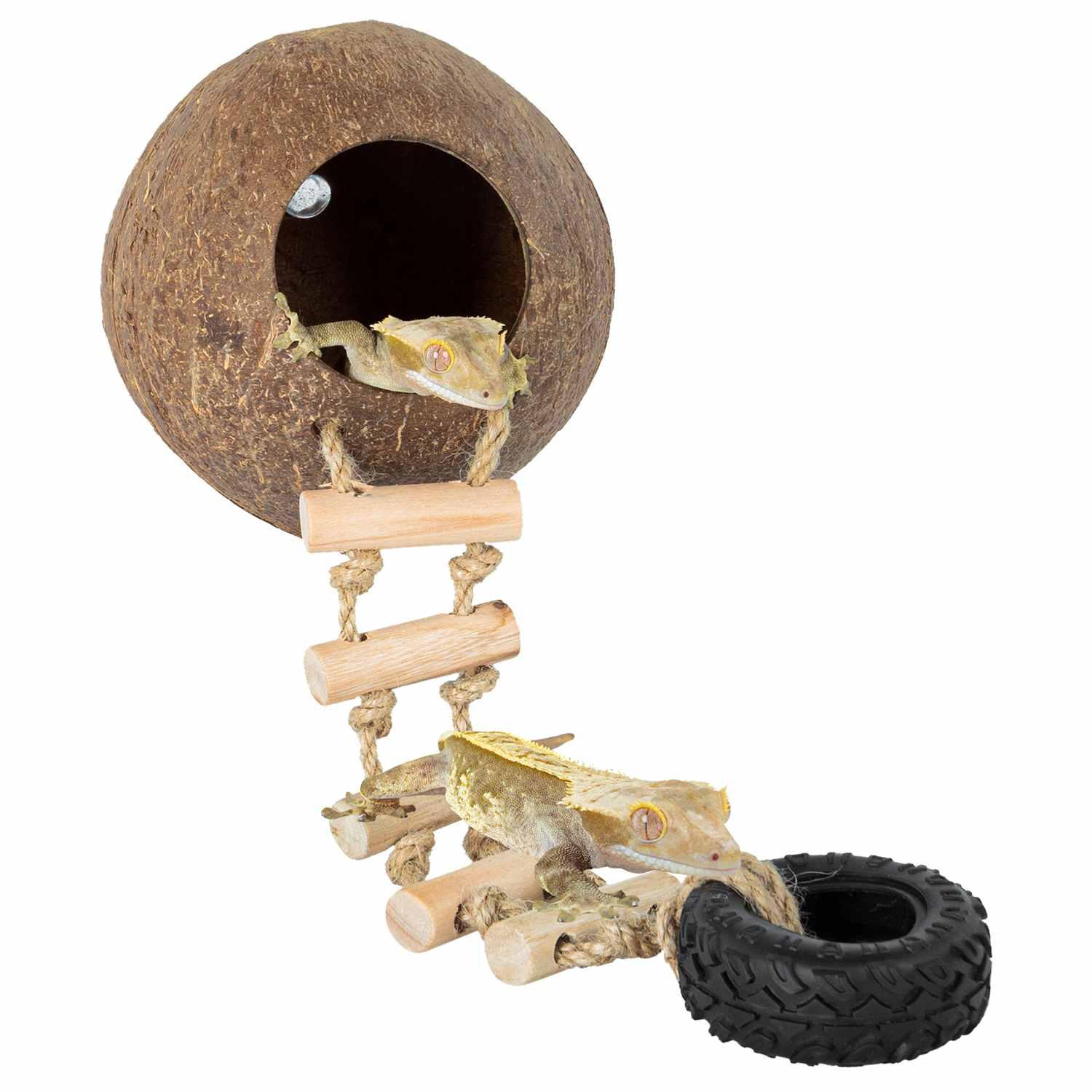 Crested gecko on wooden ladder, coconut reptile hideout, and rubber tire decoration