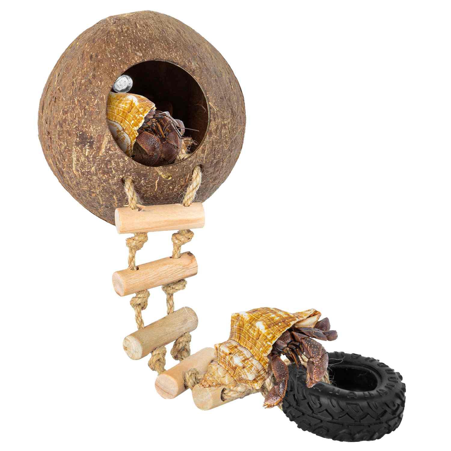 WACOOL Hermit Crab Coconut Shell Hideout Secondary image