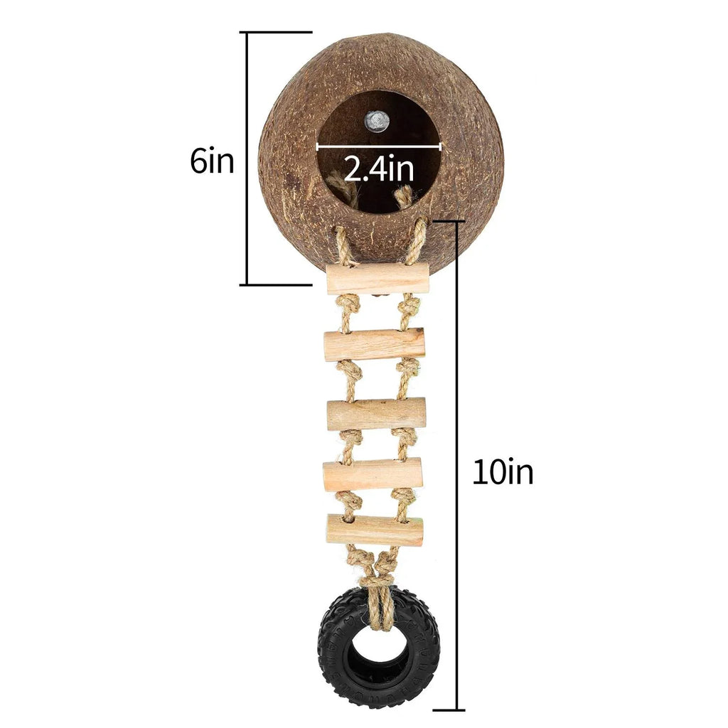 Coconut reptile hide with ladder and tire toy, showing measurements for terrarium decor