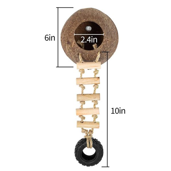 Coconut reptile hide with ladder and tire toy, showing measurements for terrarium decor