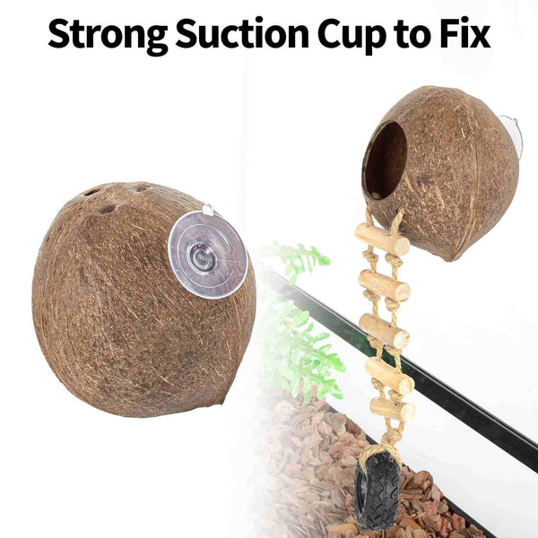 Coconut reptile hide with suction cup and ladder for terrarium decor