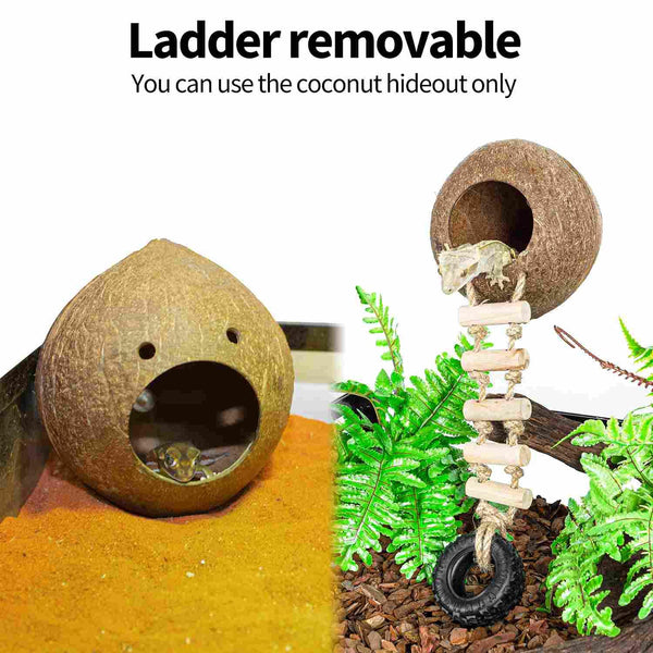 Coconut reptile hideout with removable ladder and natural climbing setup