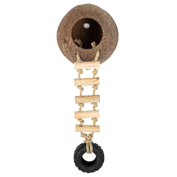 Coconut shell reptile hide with wooden ladder and small tire for terrarium habitat