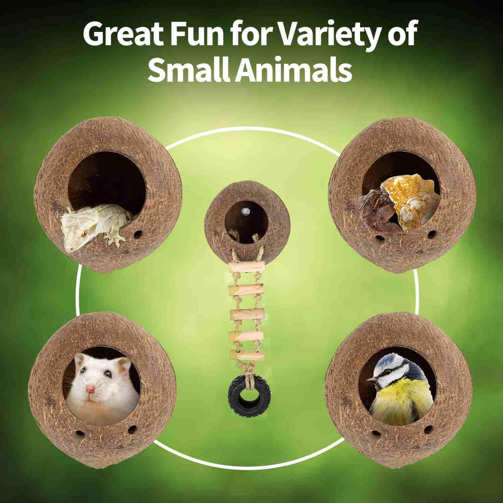 Coconut shell hideouts with ladder for small animals, reptiles, birds, and hamsters.