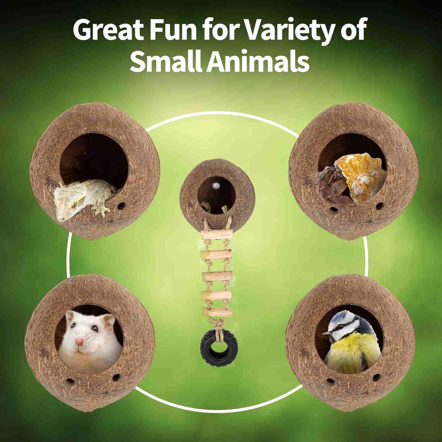 Coconut shell hideouts with ladder for small animals, reptiles, birds, and hamsters.