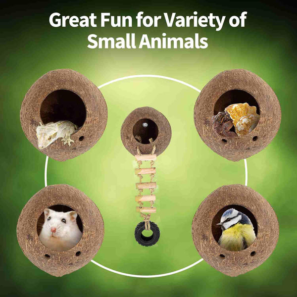 Coconut shell hideouts with ladder for small animals, reptiles, birds, and hamsters.