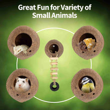 Load image into Gallery viewer, WACOOL Hermit Crab Coconut Shell Hideout