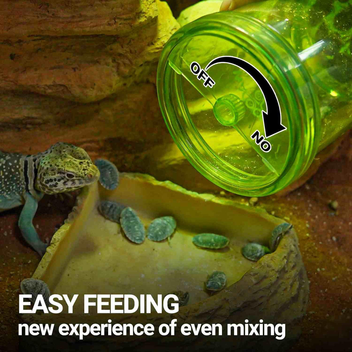 Reptile feeder jar with adjustable lid, insects in a food dish, and a lizard in a terrarium