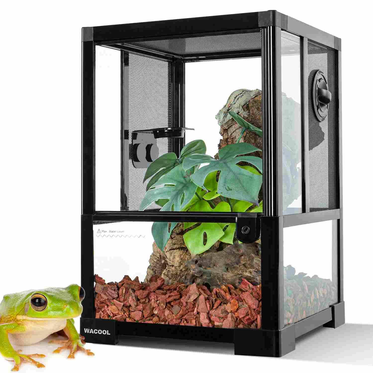 Glass reptile terrarium with mesh sides, wood substrate, plant decor, and a green tree frog Main image