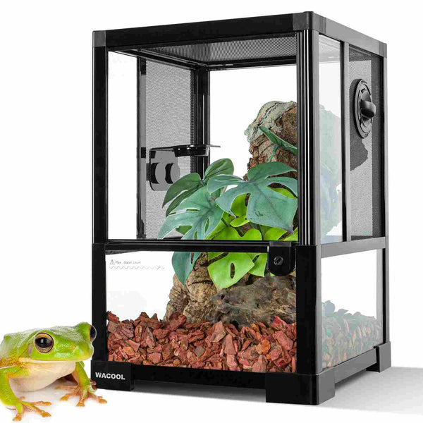 Glass reptile terrarium with mesh sides, wood substrate, plant decor, and a green tree frog