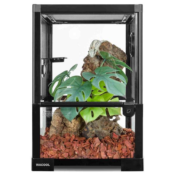 Glass reptile terrarium with screen lid, artificial plants, substrate, and climbing branch.