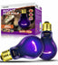 75W purple night heat bulb for reptile terrariums, with product box and lizard image